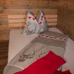 Vakantiehuis Artlieb Huette Bischofshofen