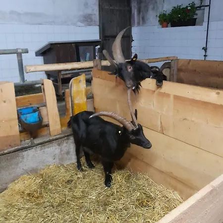 Artlieb Huette Nyaraló *