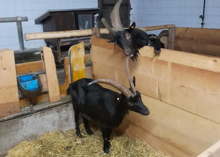 Artlieb Huette Dom wakacyjny *