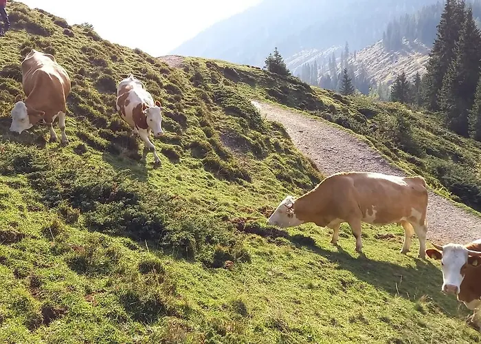 Dom wakacyjny Artlieb Huette Bischofshofen